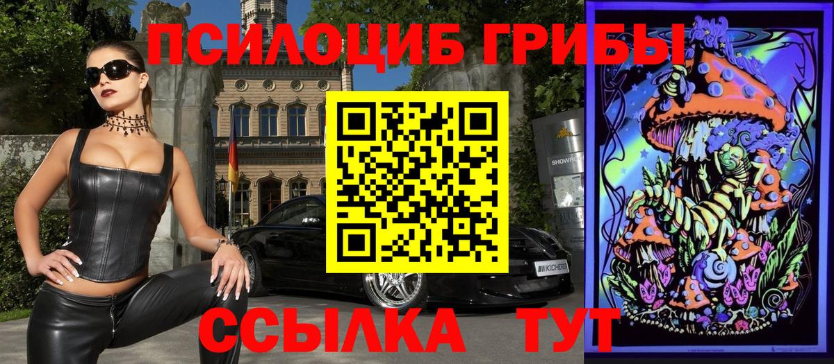 Касимов  Псилоцибиновые грибы Psilocybe  Галлюциногенные грибы ЛСД  Вход с VPN 